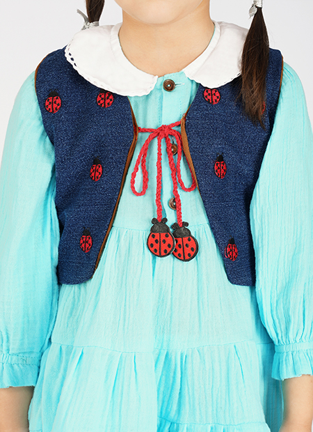 Aqua Tiered Dress with Ladybug Waistcoat